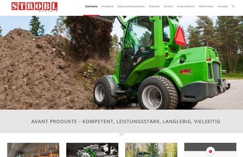 Screenshot der Startseite von www.strobl-austria.at