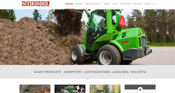 Screenshot der Startseite von www.strobl-austria.at