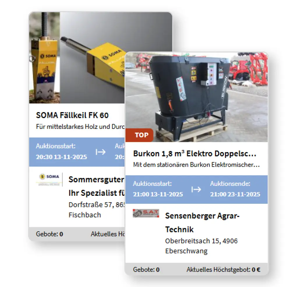 Screenschot von zwei Online-Versteigerungen